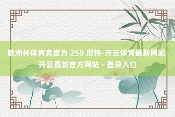欧洲杯体育亮度为 250 尼特-开云体育最新网站 开云最新官方网站 - 登录入口