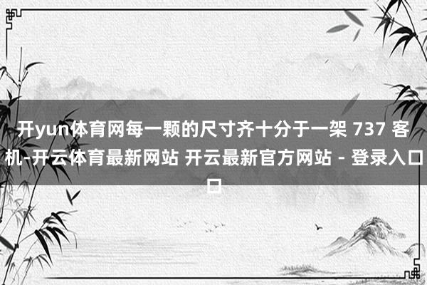 开yun体育网每一颗的尺寸齐十分于一架 737 客机-开云体育最新网站 开云最新官方网站 - 登录入口