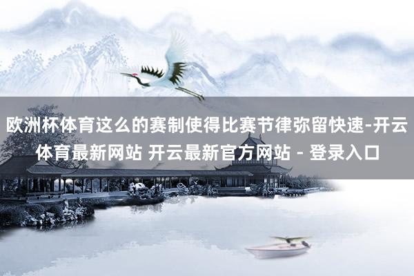 欧洲杯体育这么的赛制使得比赛节律弥留快速-开云体育最新网站 开云最新官方网站 - 登录入口
